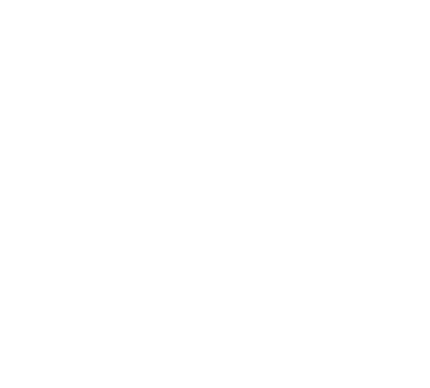 Sainte Colombe - Bière de Noël 12x75cl